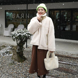 Fashion Winter Women Bucket Bag Faux Fur Ladies Small Casual Tote Shoulder Bags Luxury Design Female Clutch Purse Handbags Bolsa